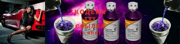 мяу мяу мука Абаза