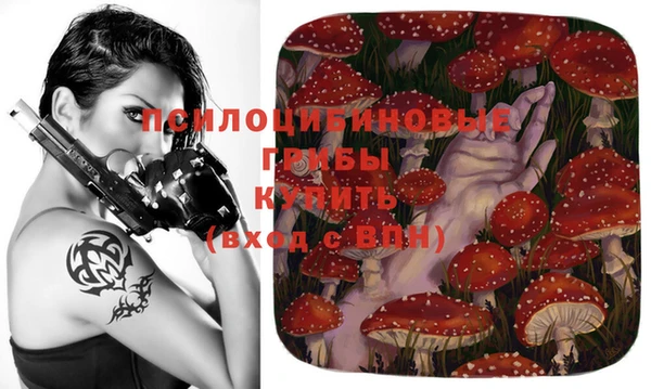 тгк Абдулино