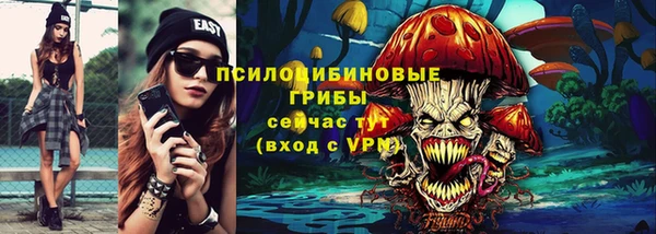 мяу мяу мука Абаза