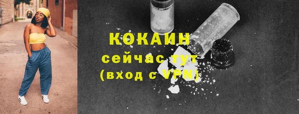 мяу мяу мука Абаза