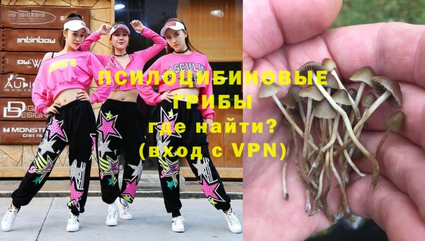 таблы Надым